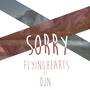 Sorry (feat. DJN)