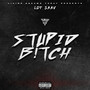 Stupid B!tch (Explicit)