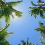 Simple (feat. BL4NCO & Mike Swift) [Explicit]