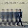Citadel of Sound (Explicit)