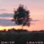 LEAVES (Explicit)