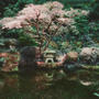 Secluded