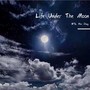 Life Under The Moon