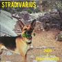 Stradivarius (feat. Sahab) [Explicit]