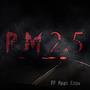 PM2.5