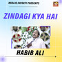 Zindagi Kya Hai