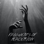 Fragments of Perception