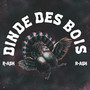 Dinde Des Bois