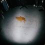 lately (feat. axeel) [Explicit]