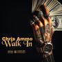 Walk In (Explicit)