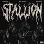 STALLION (feat. Boi Mack & Spoonz) [Explicit]