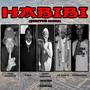 Habibi (Quantum Sound) (feat. R-Bee, De’vine 07, Drumonade & Tumi Sdomane)