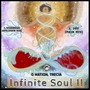 Infinite Soul II