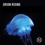 Orion Rising