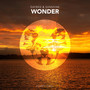 Wonder