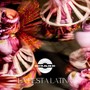 La Fiesta Latina (Radio Edit)
