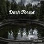 Dark Forest