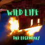 Wild Life (Explicit)