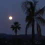 Strawberry Moon