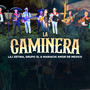 LA CAMINERA