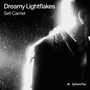 Dreamy Lightflakes