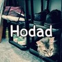 Hodad