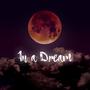 In a Dream (feat. alecia haselton)