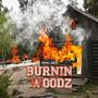 Burnin Woodz (Explicit)