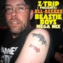 Z​-​Trip Presents: All Access A Beastie Boys Megamix