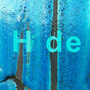 Hide