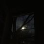 Lonely Night
