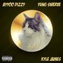 JETS (feat. Ayyoo Dizzy & Suelo Swerve) [Explicit]