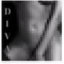 DIVA (Explicit)