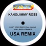 Can't Hold Back / Fall into a Trance (USA Remix)