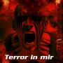 Terror in mir