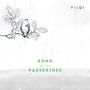 Song of the Passerines