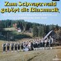 Zum Schwarzwald gehört die Blasmusik