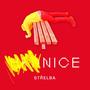 NICE (Explicit)