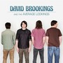 David Brookings and the Average Lookings