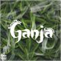 Ganja (feat. Ceezey) [Explicit]