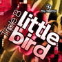 Little Bird