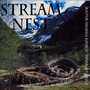 Stream Nest