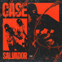 Case