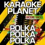 Polka, Polka, Polka (Karaoke Version) (Originally Performed By Brings)