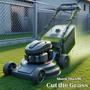 Cut The Grass (Explicit)