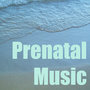 Prenatal Music