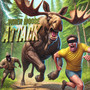 When Moose Attack