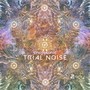 Trial Noise