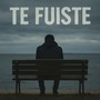 TE FUISTE