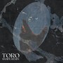 Toro (Remix)